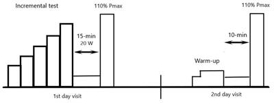 Real Assessment of Maximum Oxygen Uptake as a Verification After an Incremental Test Versus Without a Test